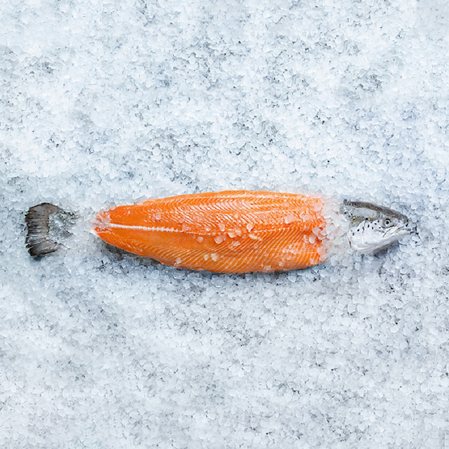 raw salmon select fish